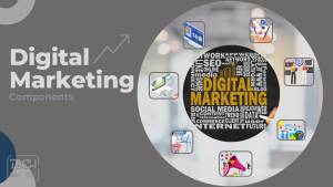 Read more about the article Digital Marketing 101: Strategies for Modern Businesses